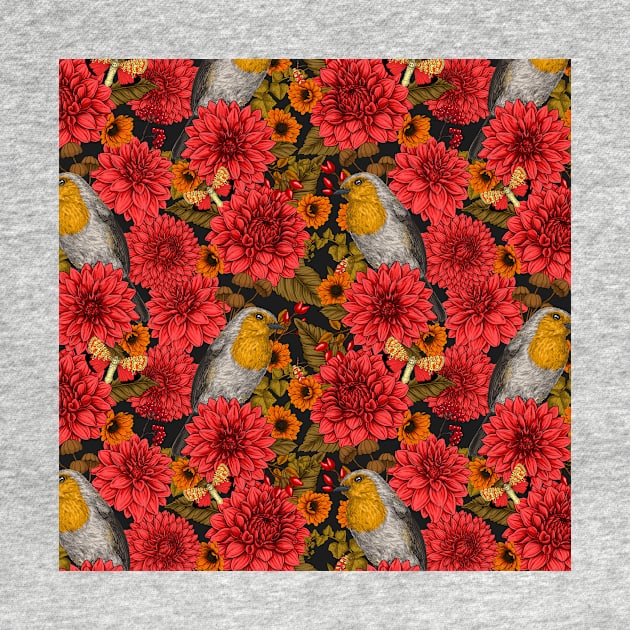 Robins in the autumn garden, red dahlias on black by katerinamk